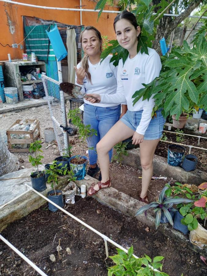 Apartament Sustainable Cabain Cozumel Zewnętrze zdjęcie